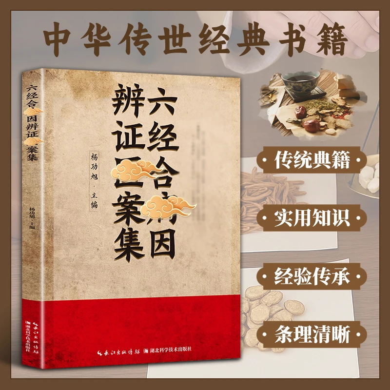 六经合并因辩证翳案集 临床诊辽经典理论 辩证论冶实用知识常备书