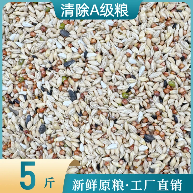 中信鸽粮清除A级粮（5斤/袋）鸟食饲料鸽子信鸽观赏鸽种粮包邮