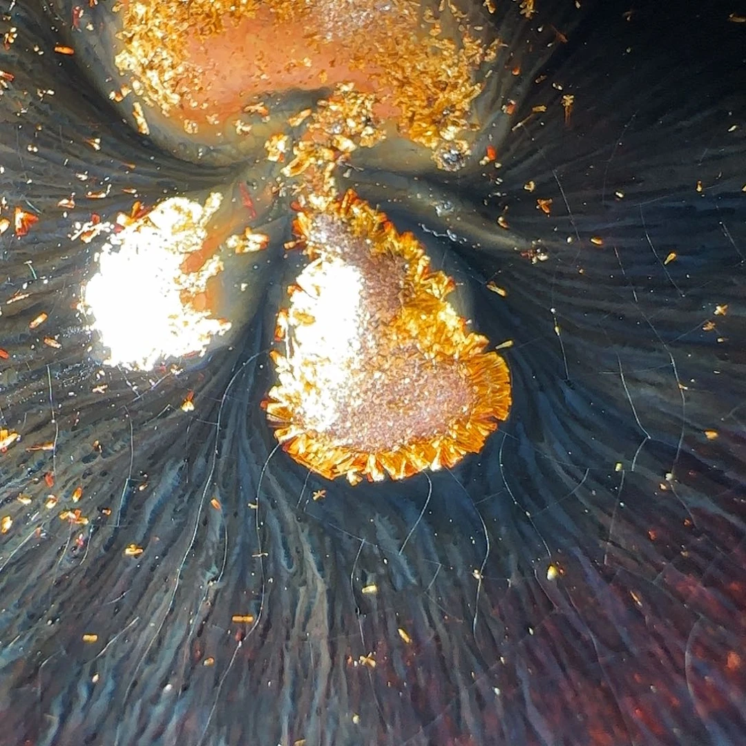 茶盏22 璞韵潭饶文星