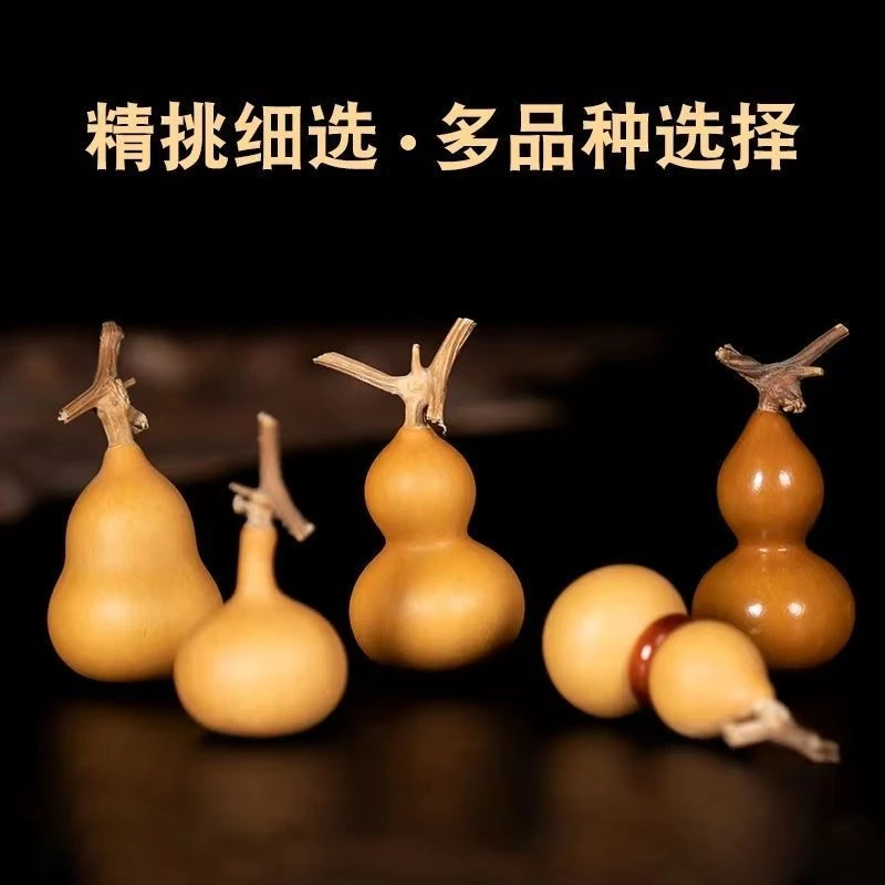 1号链接直播专用精品葫芦