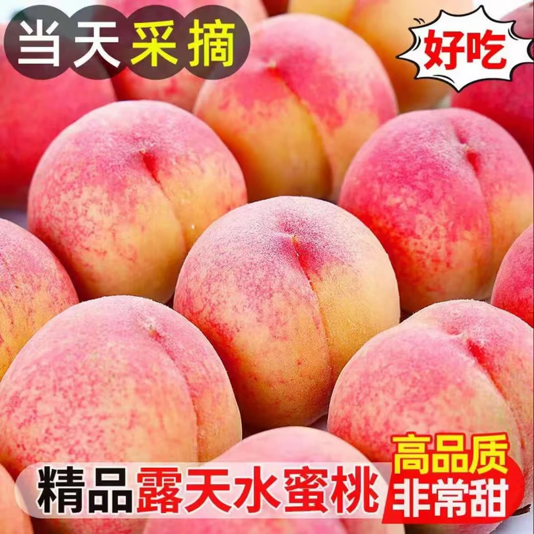 【陕西】头茬水蜜桃新鲜采摘香甜多汁风味浓郁软硬都可吃应季鲜果