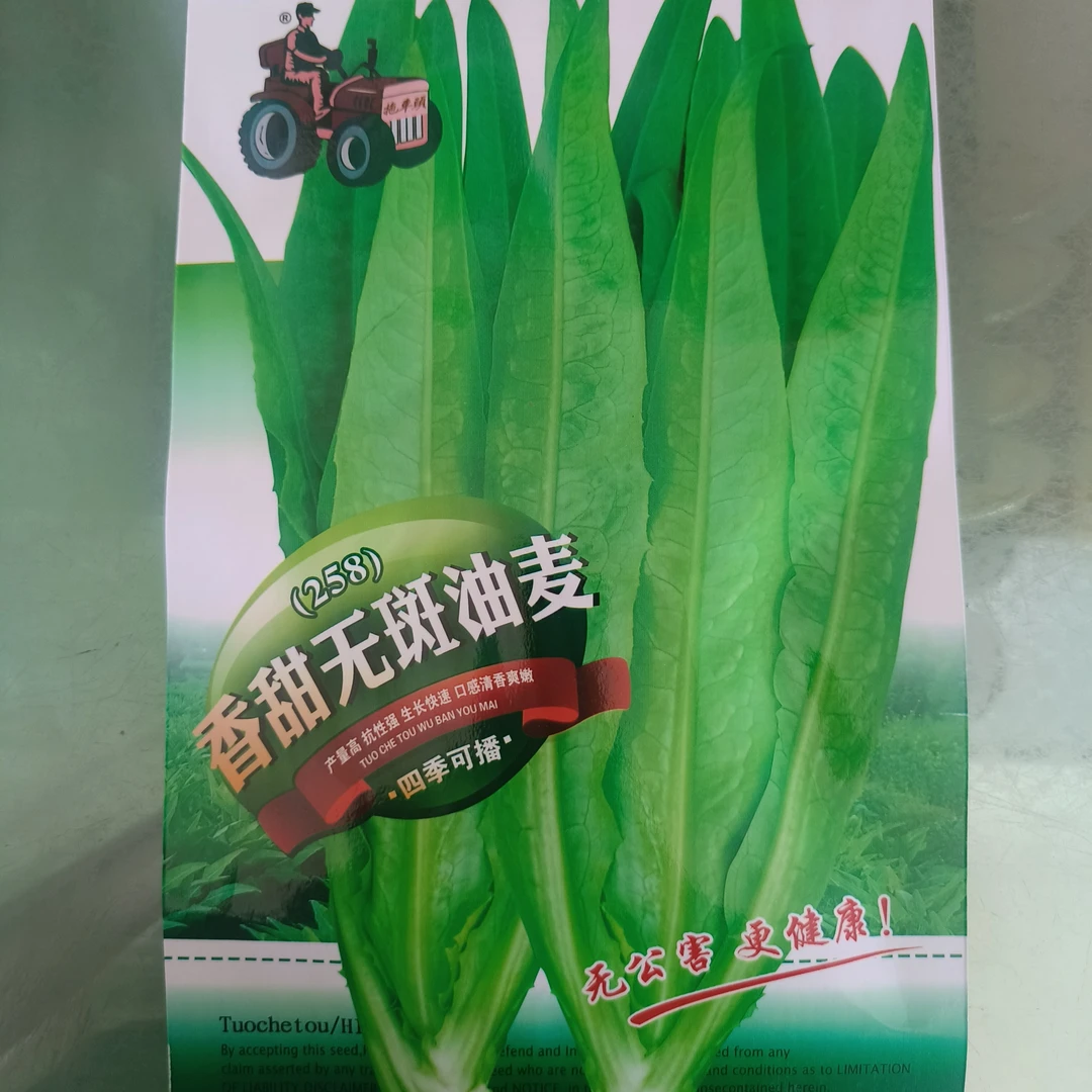 20g香油麦菜种子