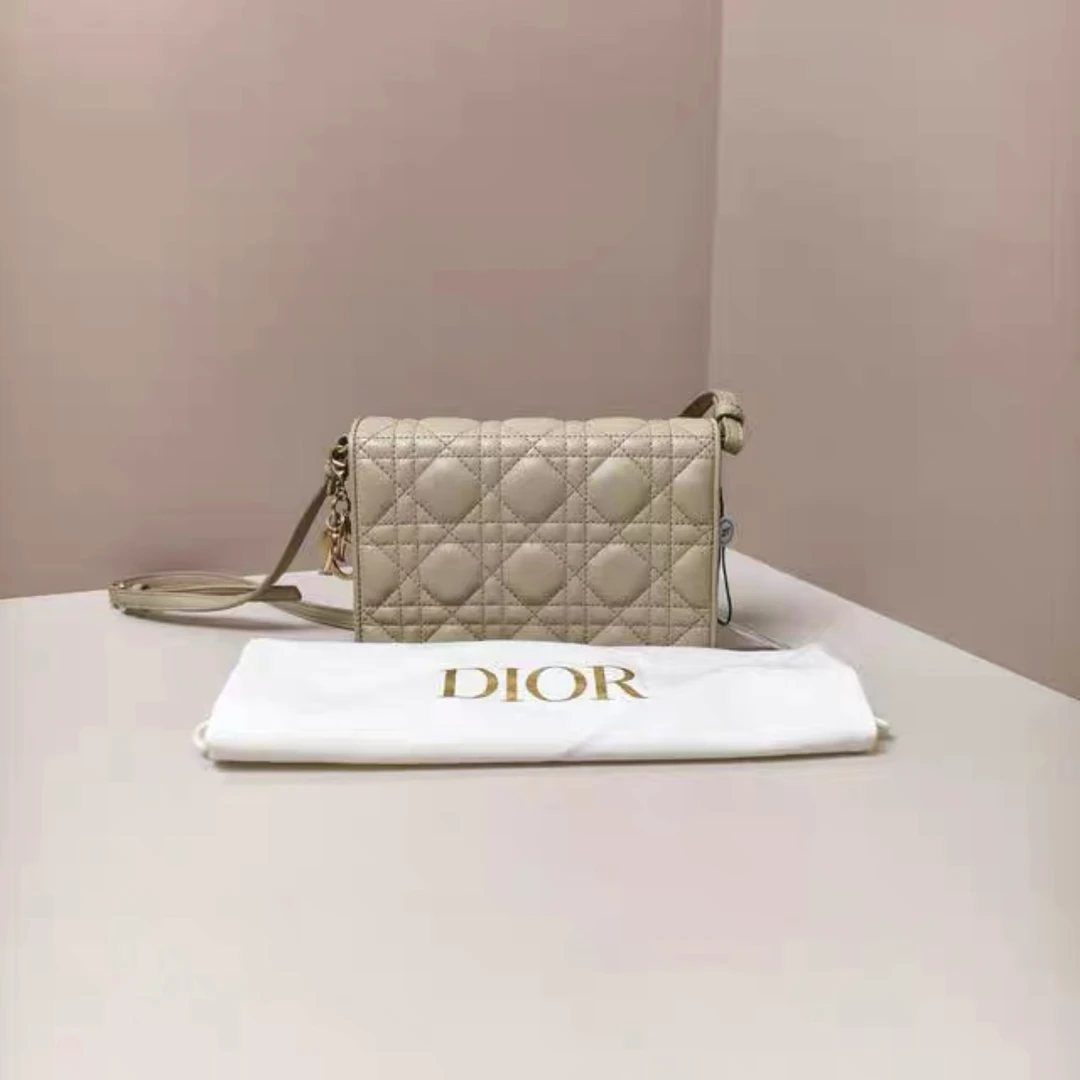 95新 DIOR/迪奥 Dior迪奥米色斜挎包50756