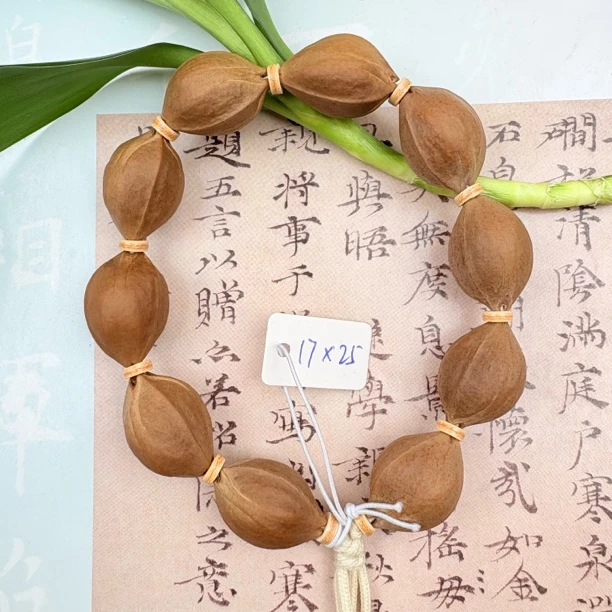 CX晨心铁核17x25梅林老树铁核三花鲨鱼背橄榄核原皮橄榄核素核