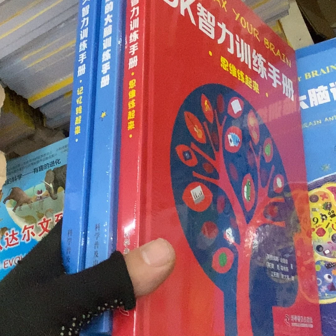 Dk大脑三本