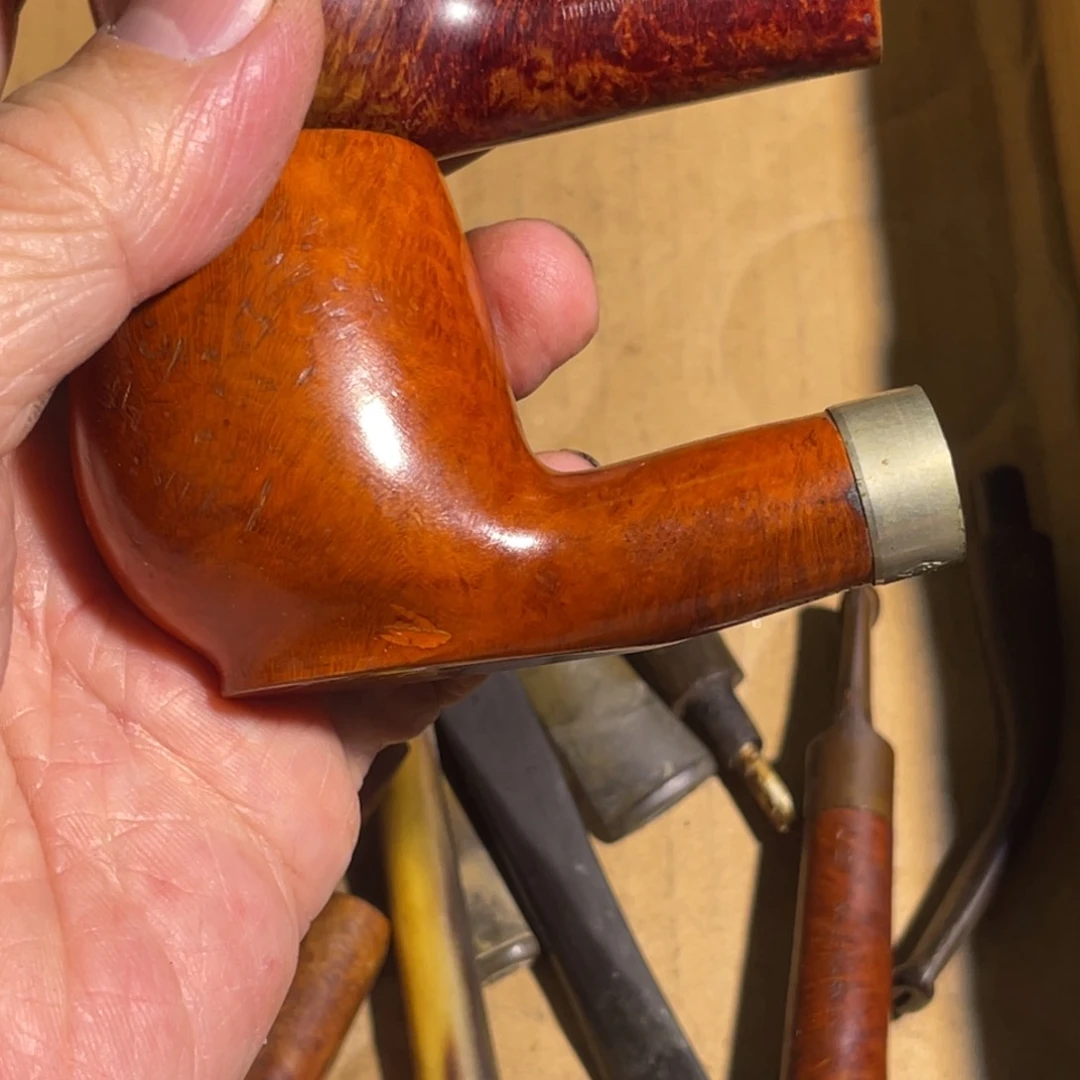 木*木虎斗头专拍