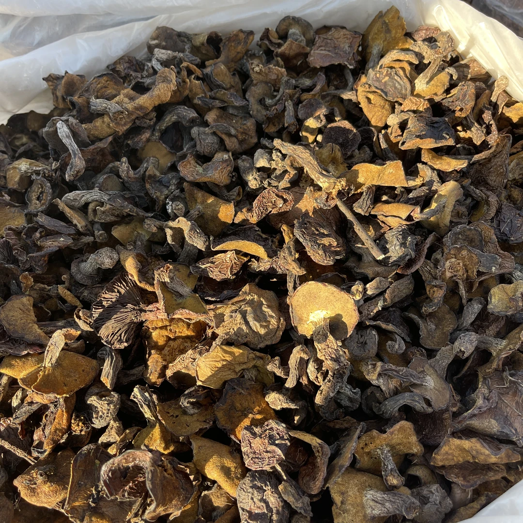 【张大庆】农产品蘑菇松蘑