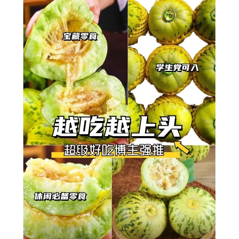 A-006【满3包包邮  满5包送一包】八里香甜瓜种子