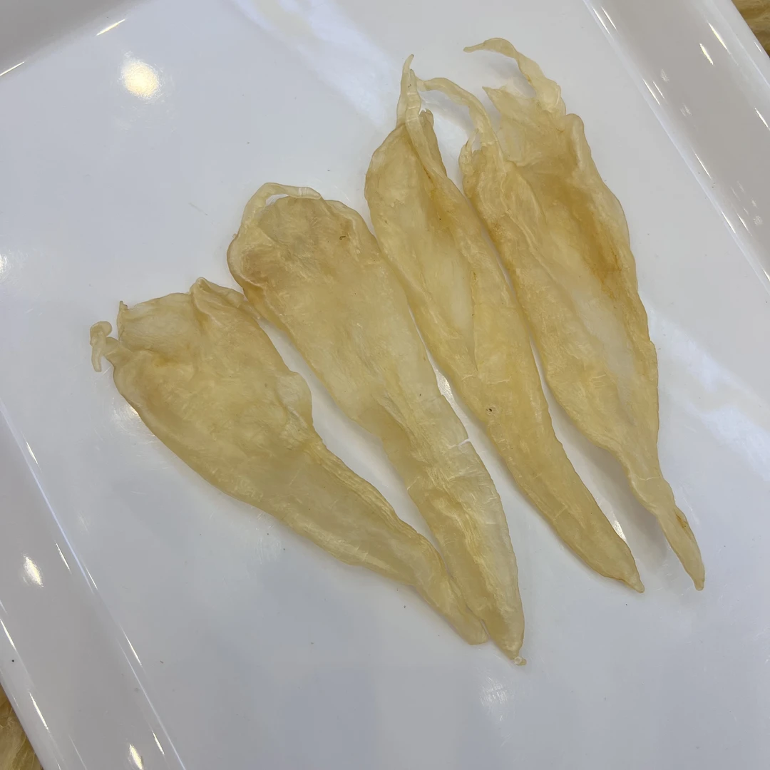 北海尖耳公 阴阳公鱼胶花胶