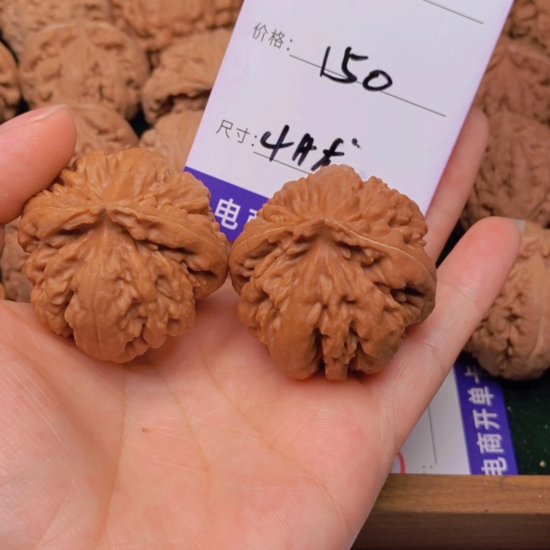 文玩核桃霸王龙核桃