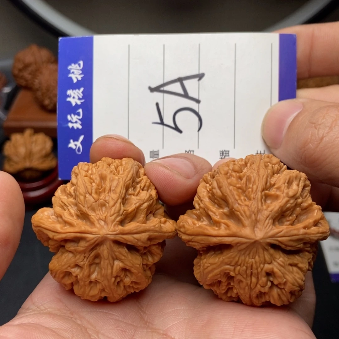 文玩核桃吊坠42粗筋