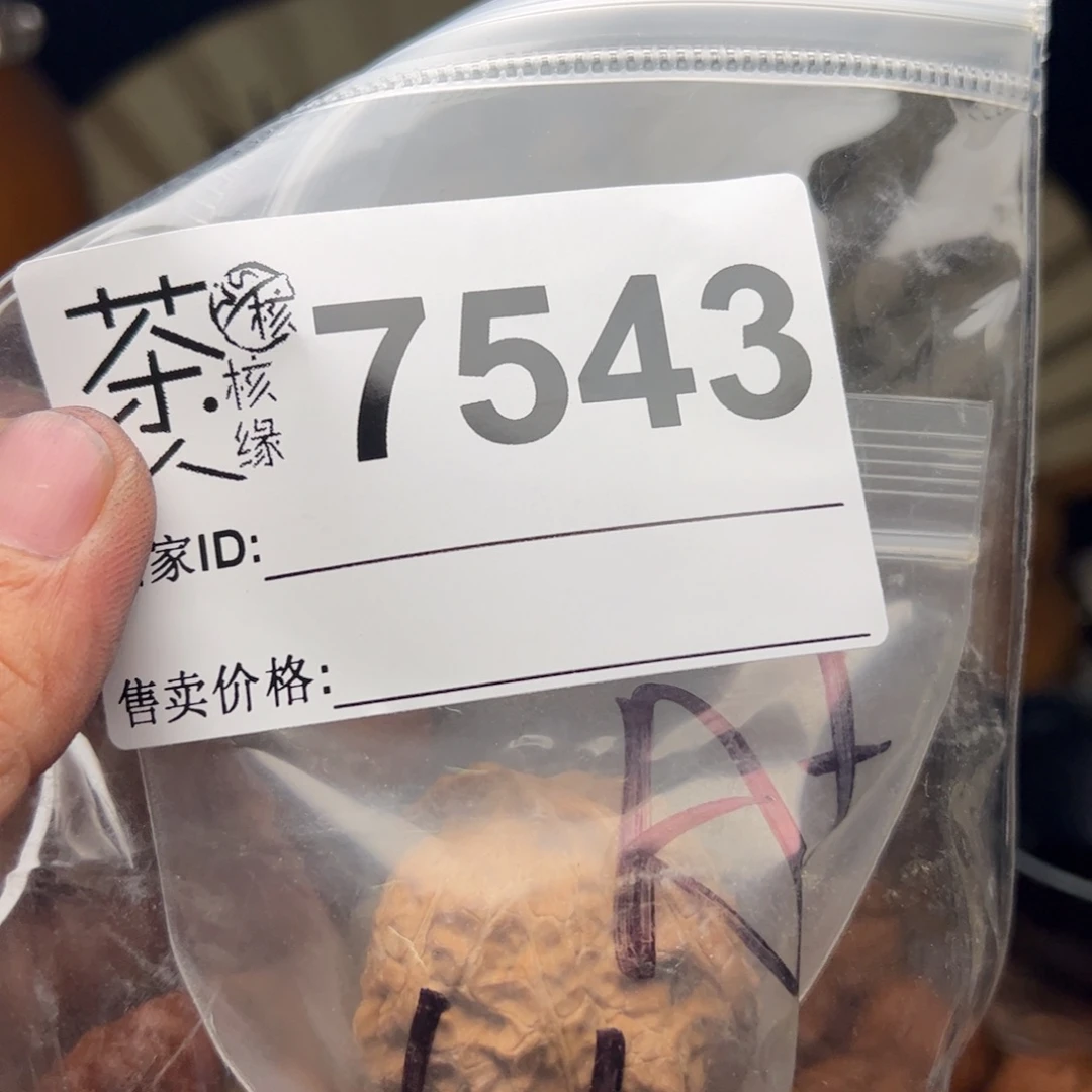 文玩核桃把件N****o今天