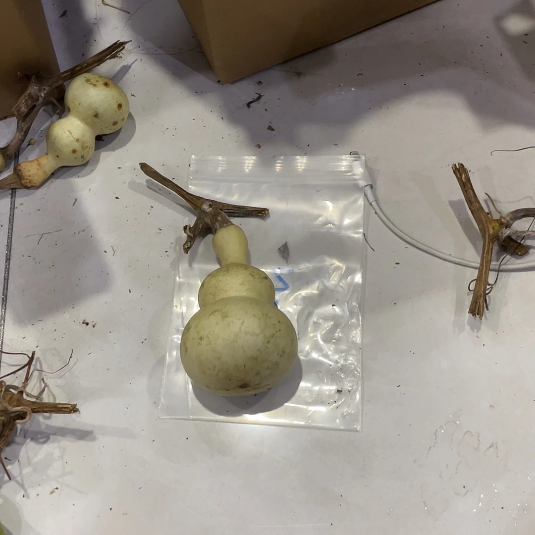 用***2把h哈哈过好几个吧