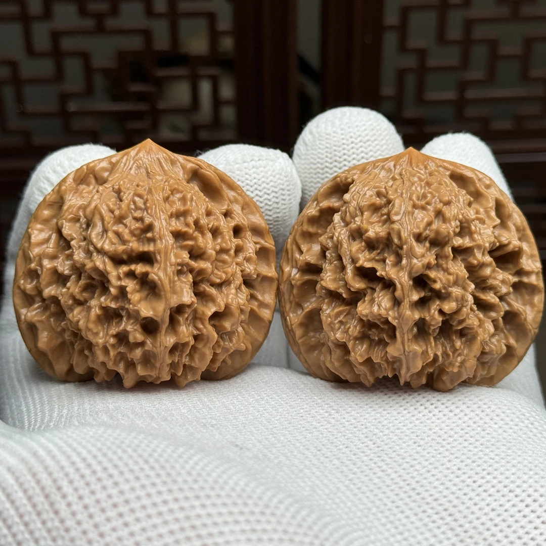 精选满天星狮子头，边43肚42高40，一代老树满天星精卡精配一物一图