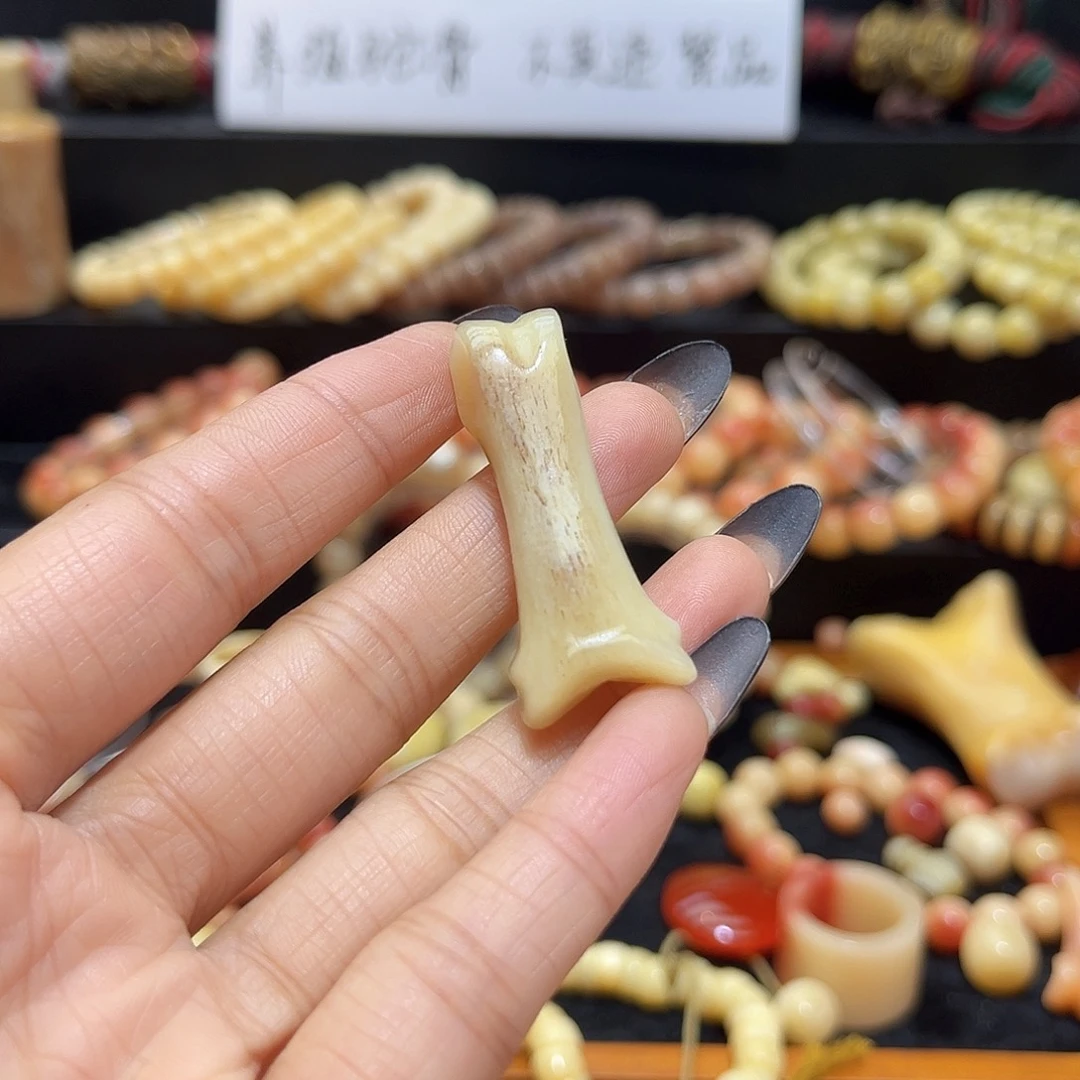 贝壳手串/手链趾骨单个