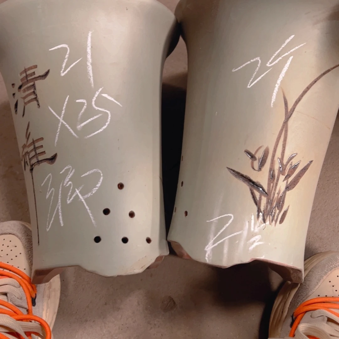 紫砂2号……………………………………