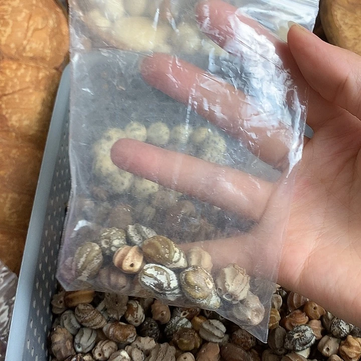 彦***.千眼菩提吊坠龙脊