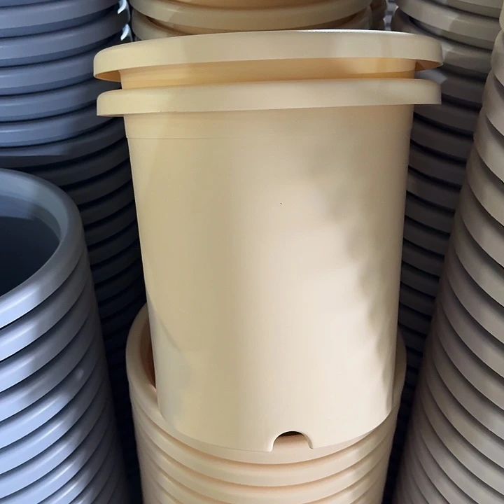 微瑕7#米黄6个无托