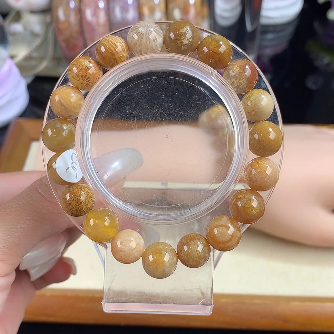 吊坠(赠链)未镶嵌硅化珊瑚（珊瑚玉）8号手串