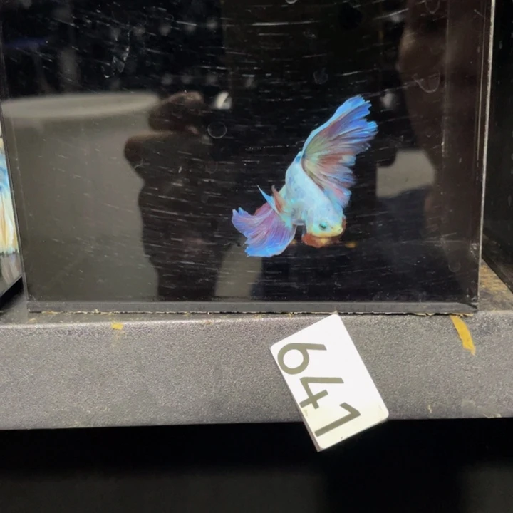 海水哈哈哈哈哈哈哈哈