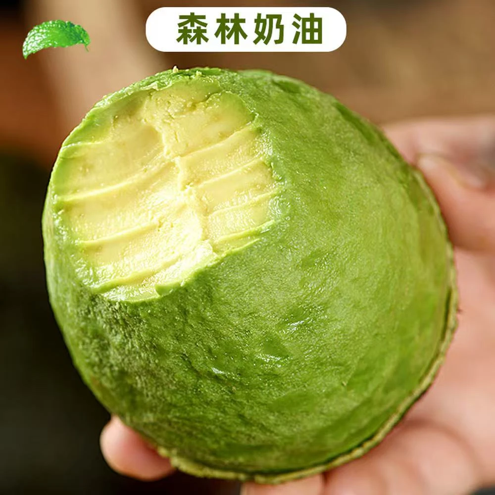 正宗云南哈斯牛油果现摘现发特大果160-190g/个