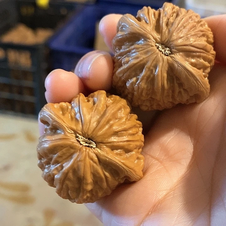 核桃手串/手链铁锤