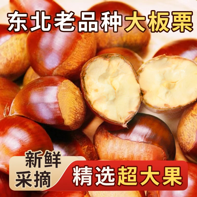 【精选超大果】东北老品种大板栗（四斤送一斤）到手五斤