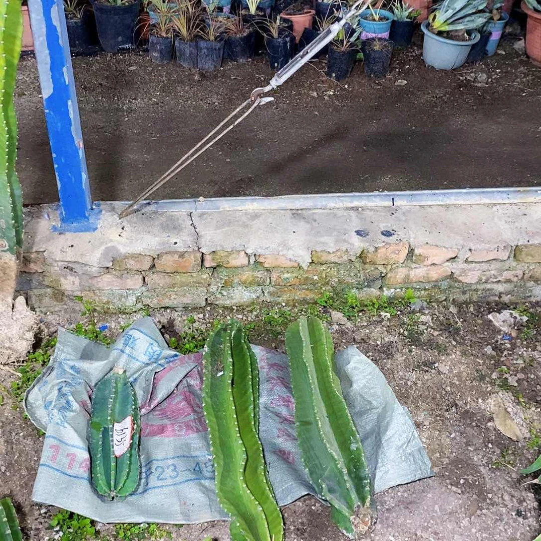 中****馆2个00000000000000000