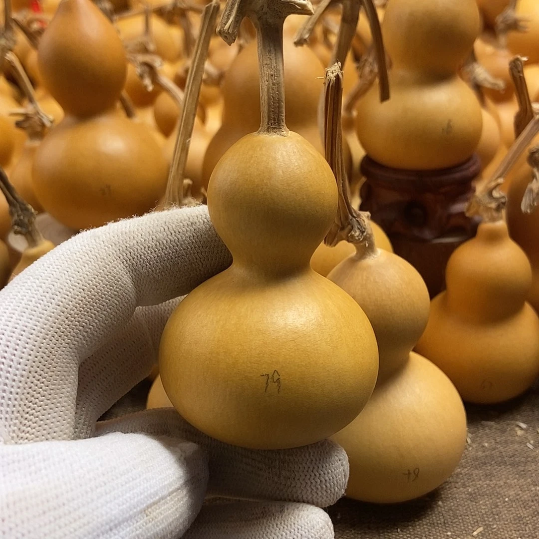 文玩葫芦 完美主义者 慎拍79