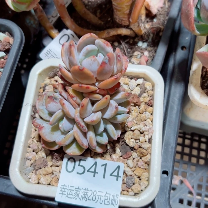 钦***同幸运的是我还没遇到过