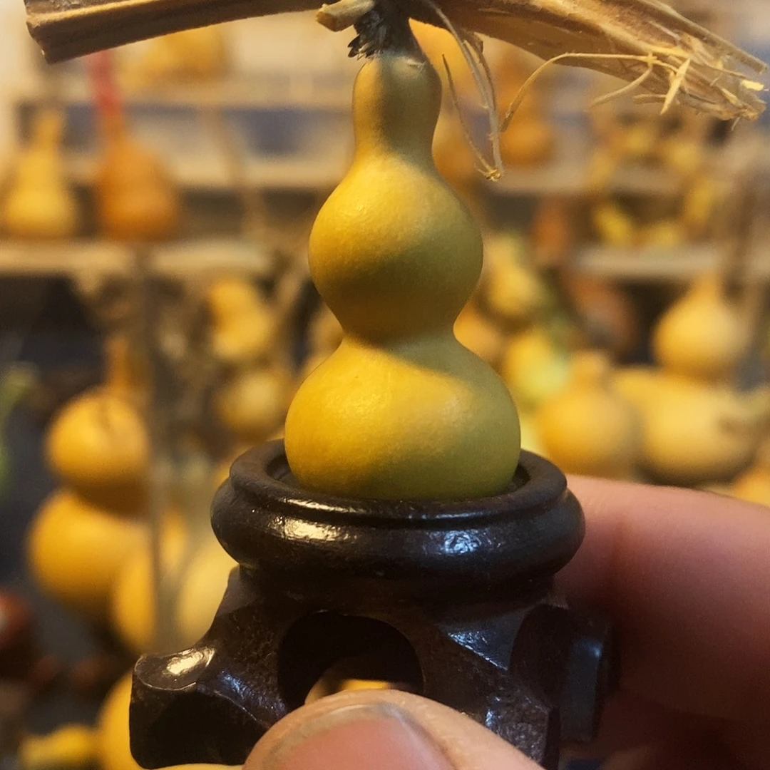 时***水精品草里金，手把件