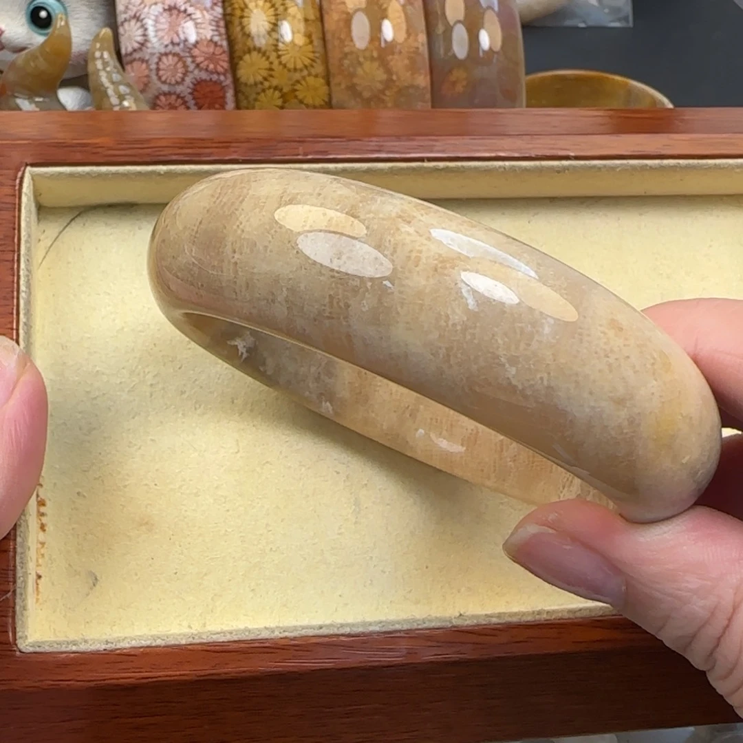 硅化珊瑚（珊瑚玉）未镶嵌手镯60-61圈