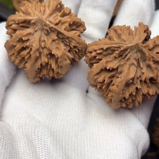 文玩核桃吊坠秦岭核桃16