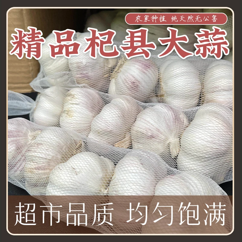 【农家十足新干蒜】手挑6厘米以上精品特大果紫白皮大蒜可吃可种