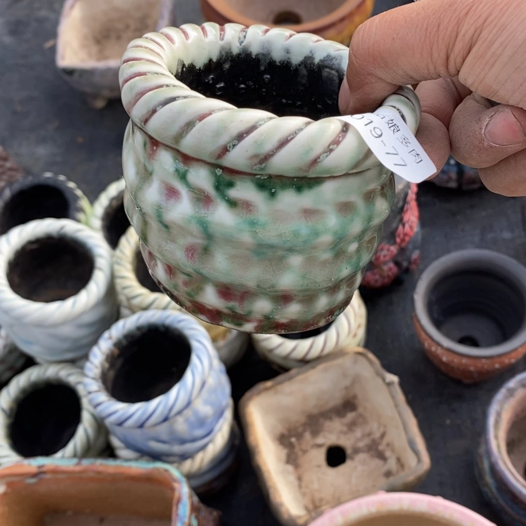 红陶简***`77号多肉盆一个呀