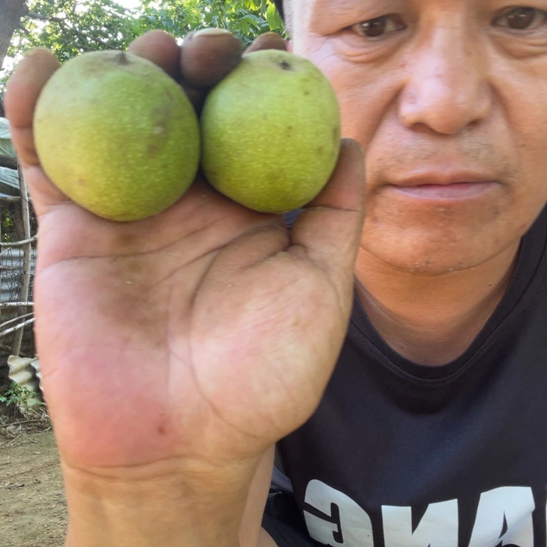 文玩核桃吊坠楼子青皮50包熟不退