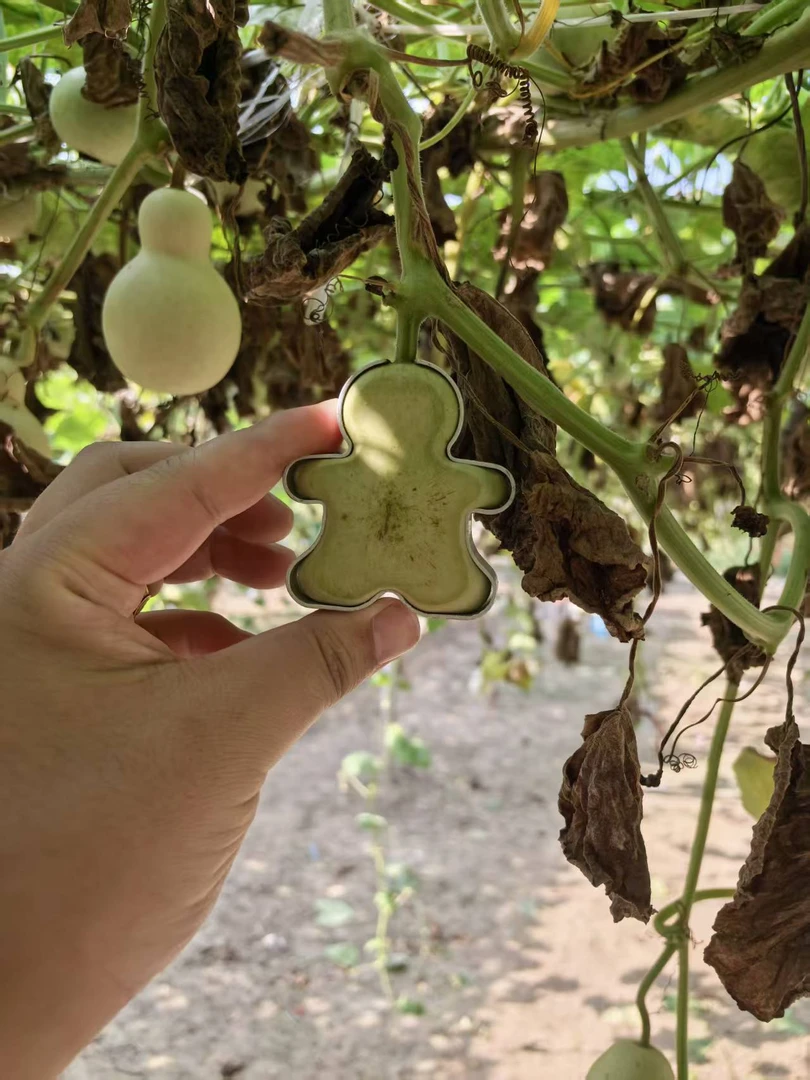 精品手把小葫芦异形葫芦八宝葫芦直播间专用链接一物一图谨慎拍单