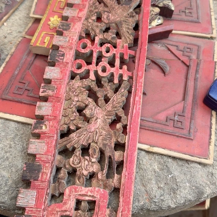 香榧木随**跑在干嘛我现在还