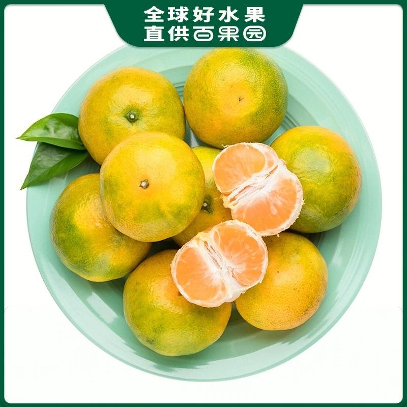 东江蜜桔(中)1份450-500g