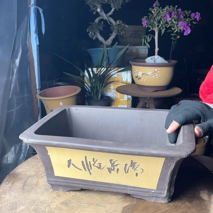 紫砂31黄色马槽华哦