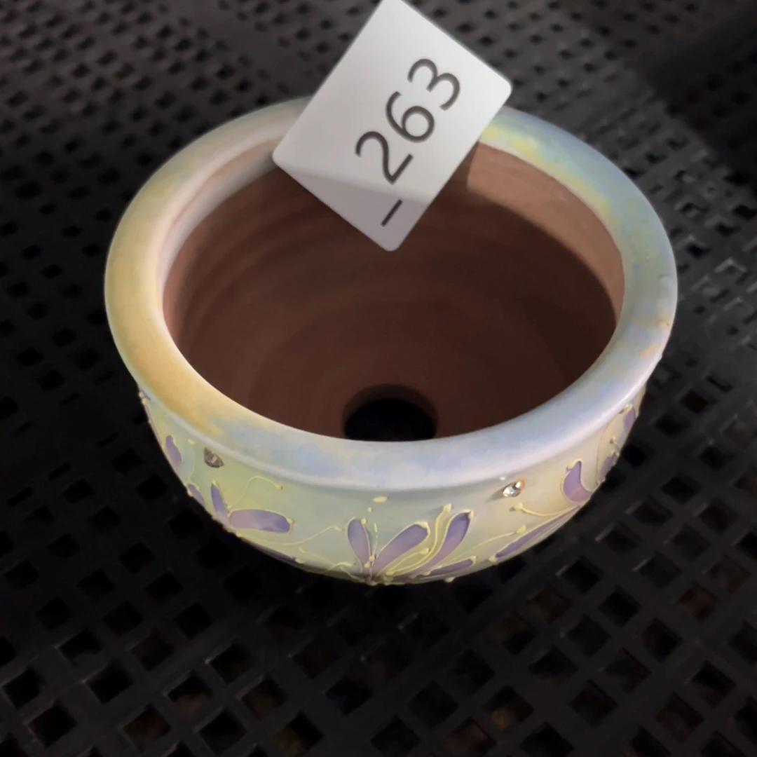 红陶奶**龙263花盆1个