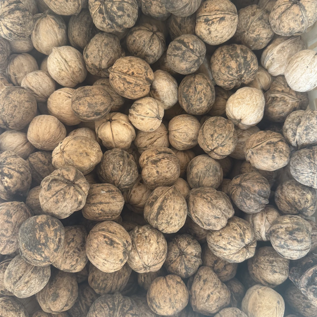 185纸皮核桃 0️⃣清洗 0️⃣➕工 原味核桃