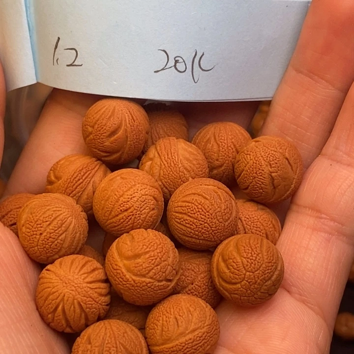 吊坠桃核秦岭龙纹桃核12