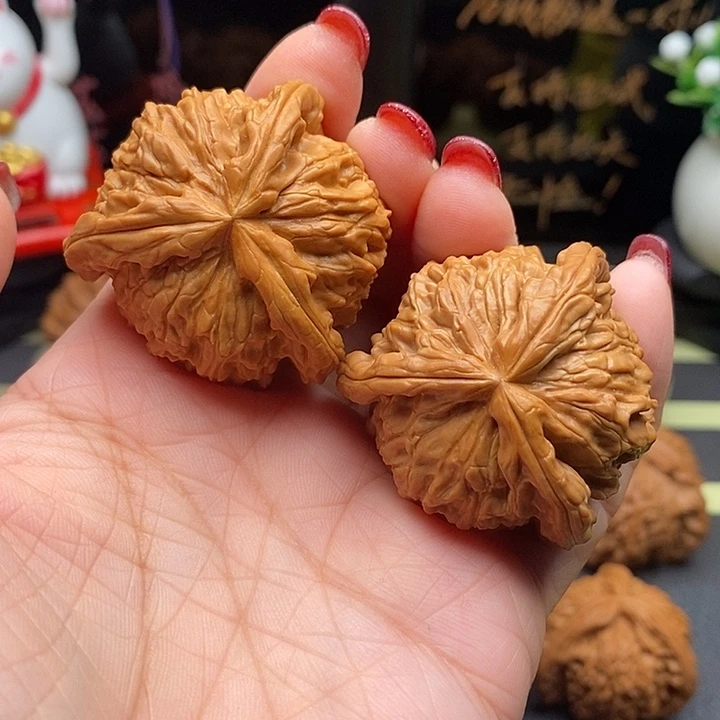 核桃40拼接白狮子