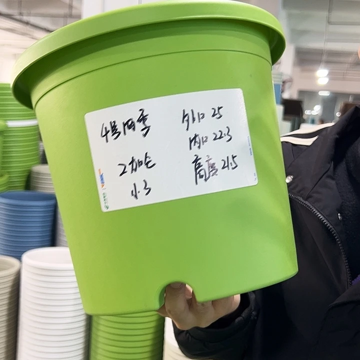 特价4号四季口25高21.5果绿无托8只