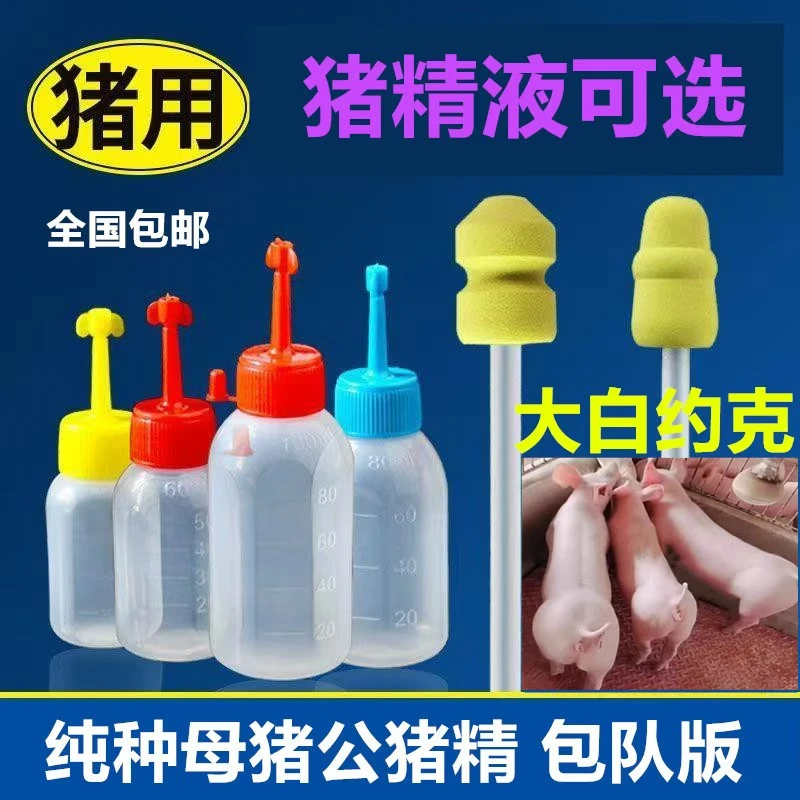 大白约克种猪猪用精液