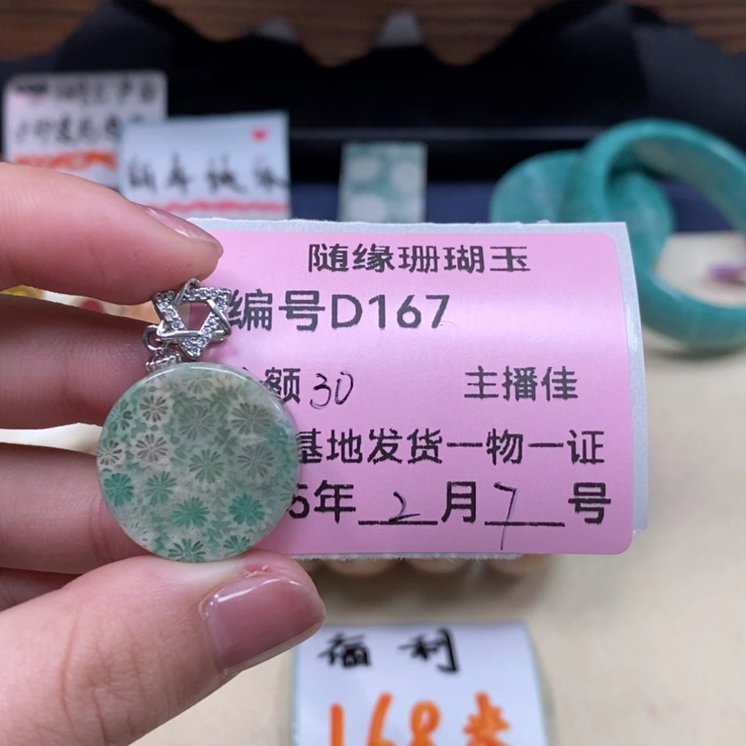 硅化珊瑚（珊瑚玉）D167未镶嵌清*