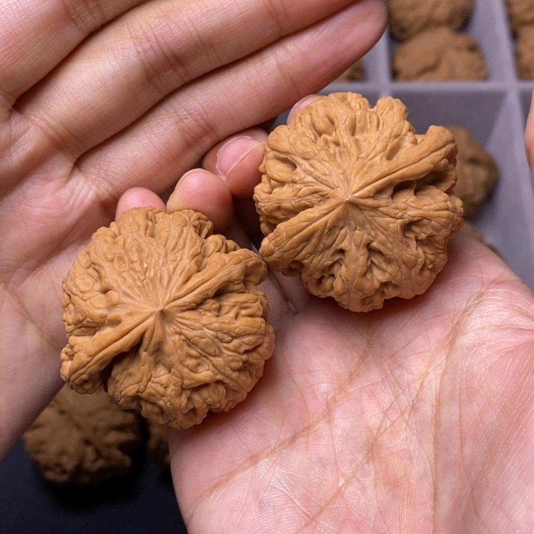 文玩核桃吊坠全品大粗筋