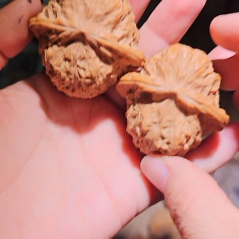 吊坠文玩核桃48南瓜