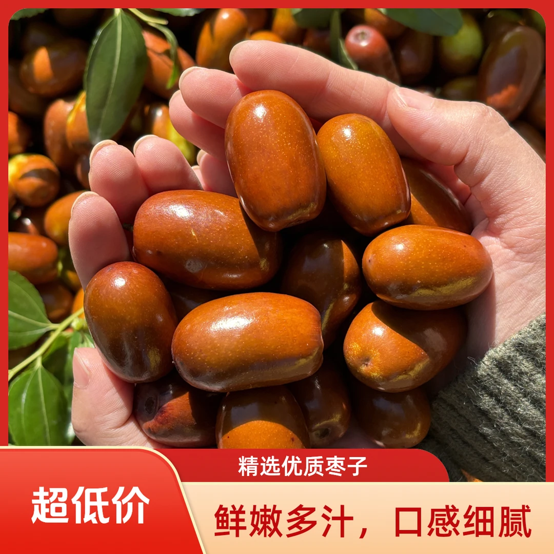 【特大果】正宗东北辽宁朝阳大枣 脆爽酸甜现摘现发 包邮到家
